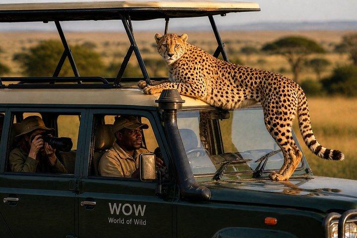 3 Day Masai Mara Private Safari from Nairobi Safari Experience