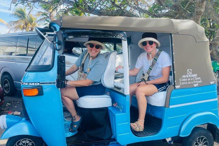 Galle Day Tour with Turtle Hatchery & River Boat Safari