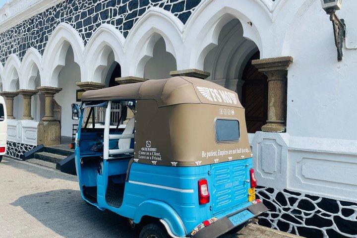 Galle Day Tour with Turtle Hatchery & River Boat Safari