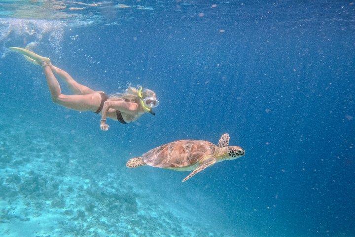 Yacht Nusa Penida Manta Snorkeling and Land Tour from Bali