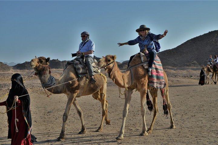 Hurghada - Star Gazing, Jeep Safari, Camel Ride & Bedouin Dinner