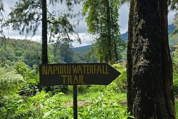 Mount Meru Waterfall, Coffee Plantation and Arusha City Tour