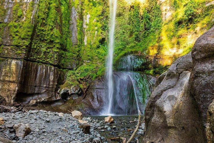 Mount Meru Waterfall, Coffee Plantation and Arusha City Tour