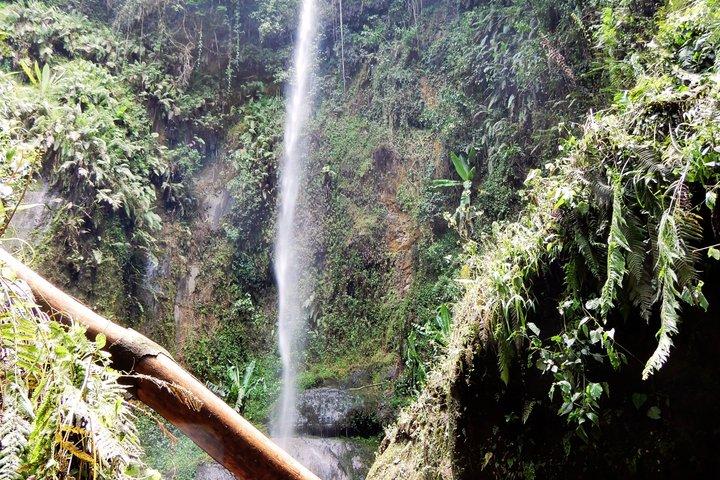 Mount Meru Waterfall, Coffee Plantation and Arusha City Tour