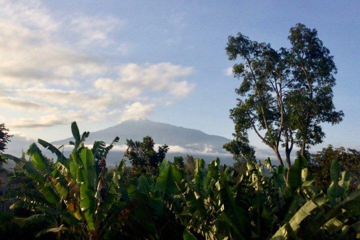 Mount Meru Waterfall, Coffee Plantation and Arusha City Tour