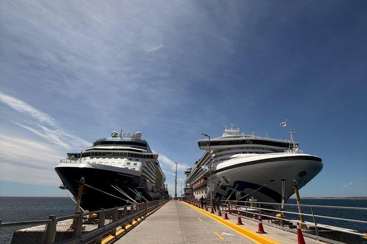 Península Valdés Tour for Cruise Passengers