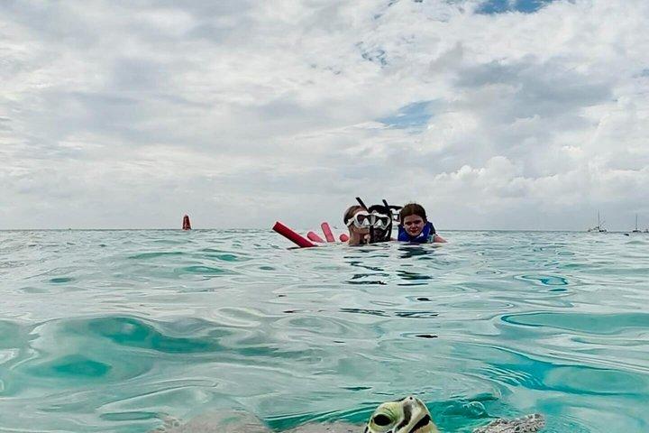 Private Turtle Snorkel Tour in Aruba +Professional video footage