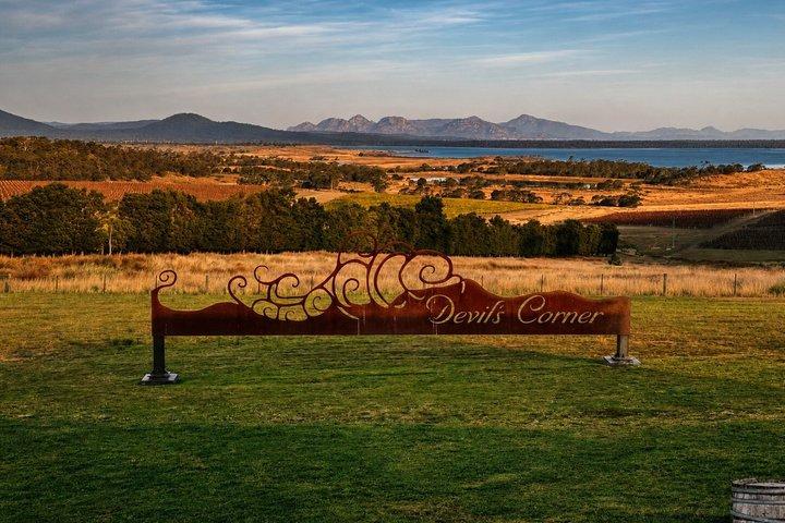 Wineglass Bay and Freycinet National Park Day Tour in Hobart