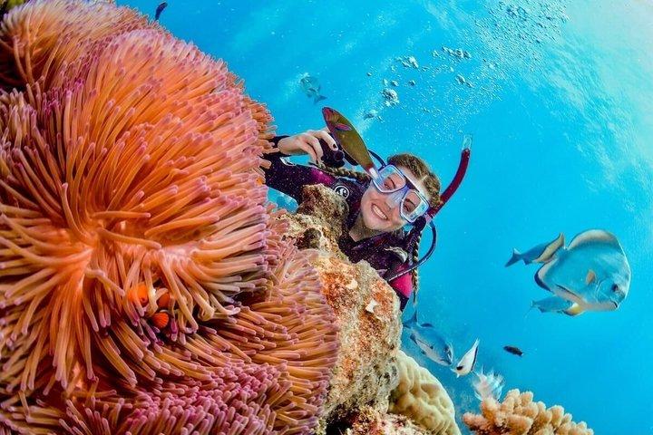 Nha Trang Deluxe Ocean Snorkeling Tour with BBQ and Mud Bath