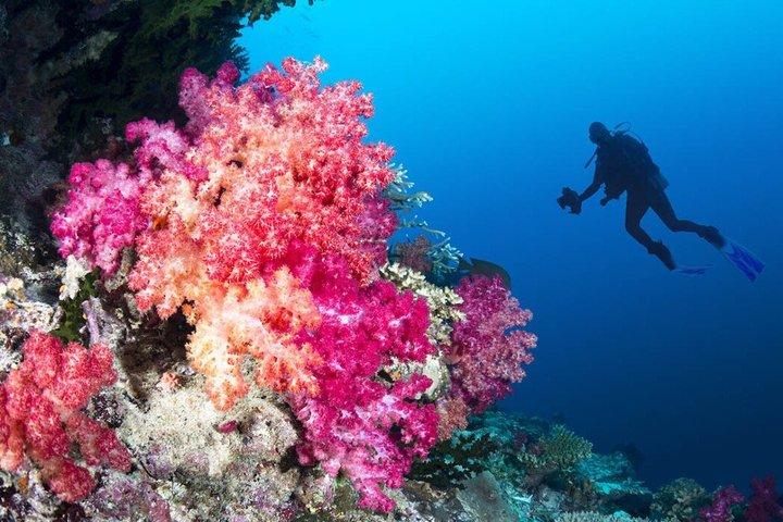 Nha Trang Deluxe Ocean Snorkeling Tour with BBQ and Mud Bath