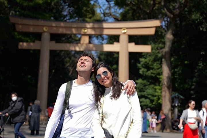 Tokyo: Customizable Private Tour – Top Attractions in 1 Day