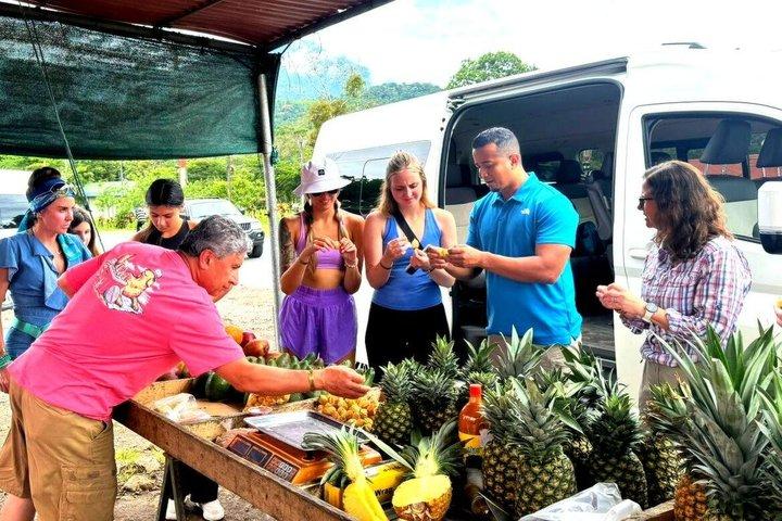 Rio Celeste, Sloth Watching & Waterfall Rainforest Experience