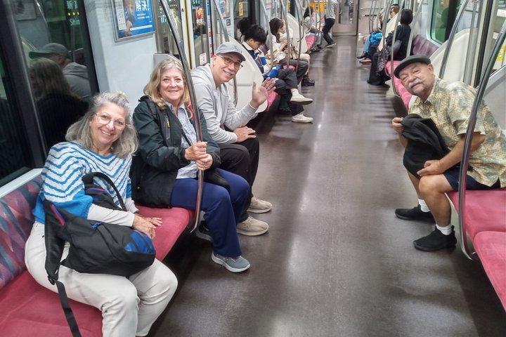 Best of Tokyo Private Tour from Yokohama & Tokyo Ports or Hotels