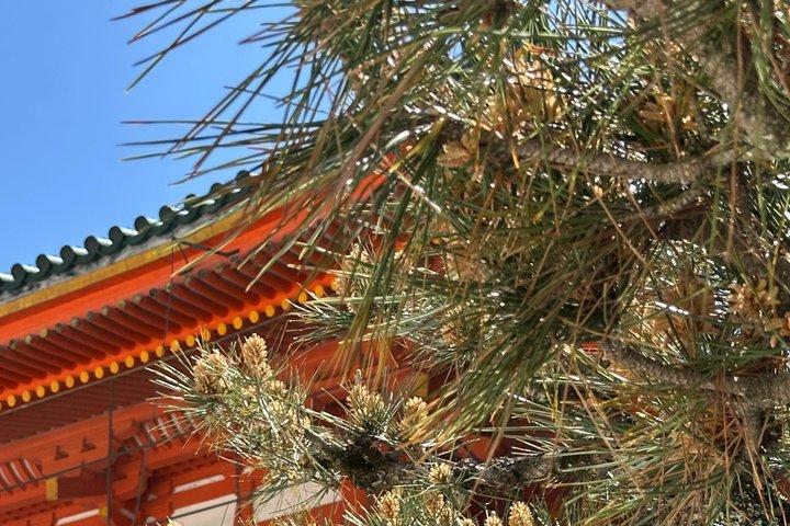 Discover Kyoto by Bike Full Day Tour