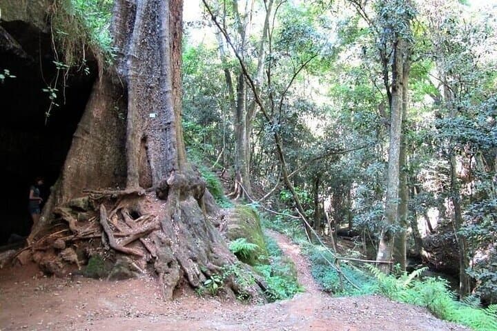 Nairobi Karura Waterfalls Guided Day Tour