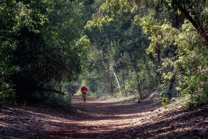Nairobi Karura Waterfalls Guided Day Tour