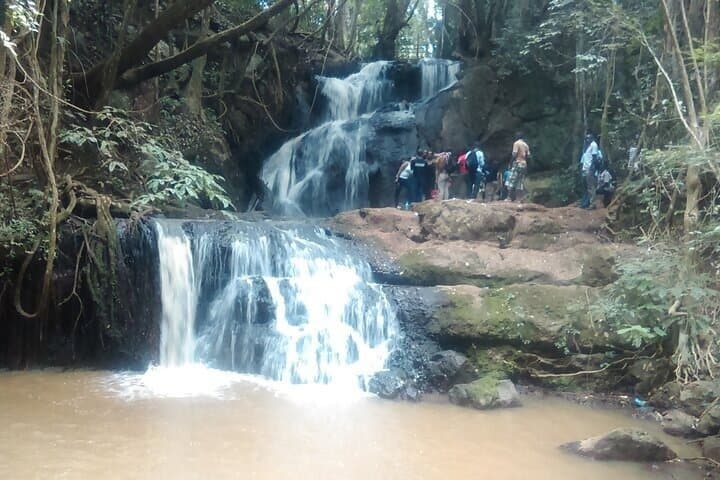 Nairobi Karura Waterfalls Guided Day Tour