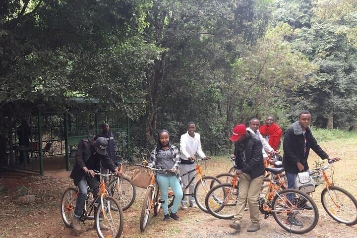 Nairobi Karura Waterfalls Guided Day Tour