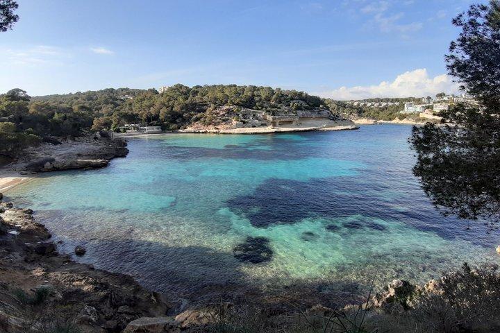 Best Beach Tours Mallorca. The Happy Vans.