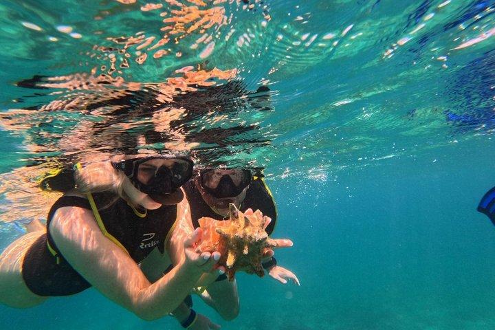 Vieques Turtle & Reef Snorkeling Tour + Snacks & Free Photos