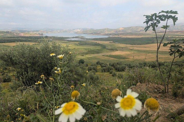 Meknes, Volubilis and Moulay Idriss Zerhoun Day Trip from Fez