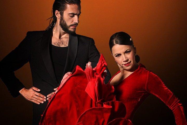 La Perla del Born - Flamenco Shows