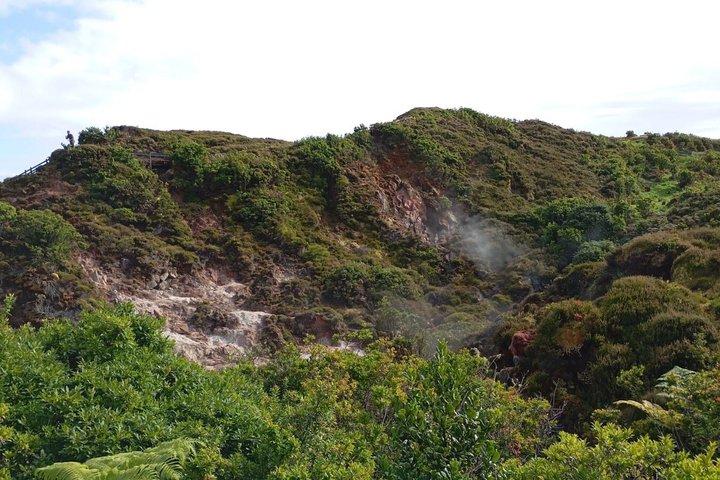 Third Island Half Day Tour