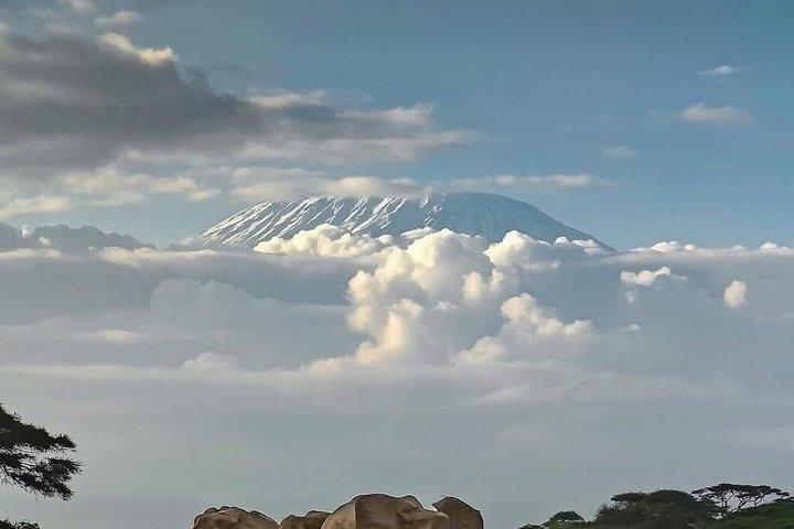 Overnight Amboseli National Park Safari from Nairobi