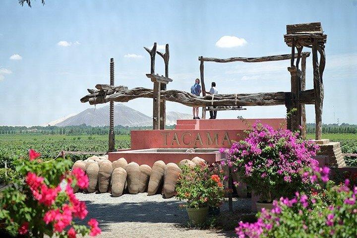 PISCO ROUTE + Tacama + Wine and Pisco Tasting – Ica