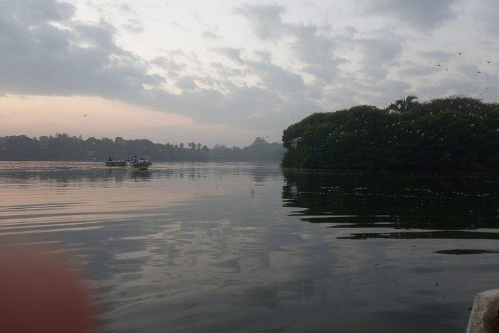 Madu River Catamaran boat Safari with Breakfast