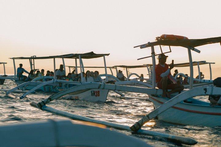 North Bali Expedition: See Dolphins, Hot Springs & Wanagiri Hills