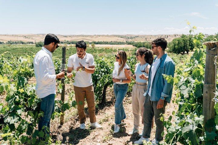 Setúbal Wine Tour from Lisbon with 2 Wineries and Tastings