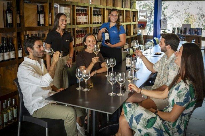Setúbal Wine Tour from Lisbon with 2 Wineries and Tastings
