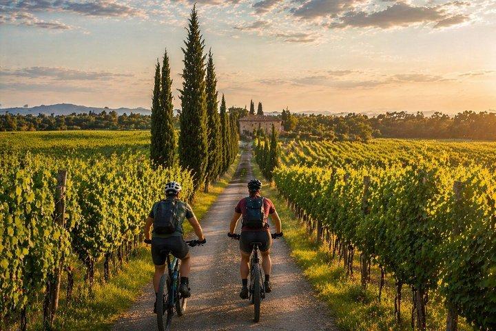 Chianti Rufina: ebike tour virtual-guided