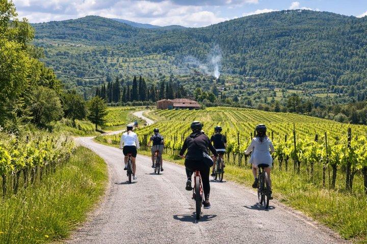 Chianti Rufina: ebike tour virtual-guided