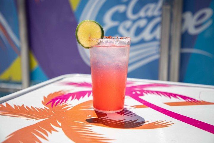 Sunset Booze Cruise with Drinks, Fajita Dinner and Party Vibes
