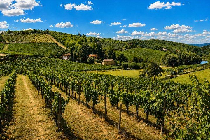 Montepulciano countryside E-bike virtual guided tour