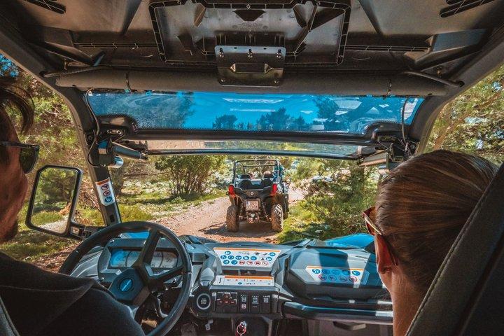 Self-drive Off Road Buggy