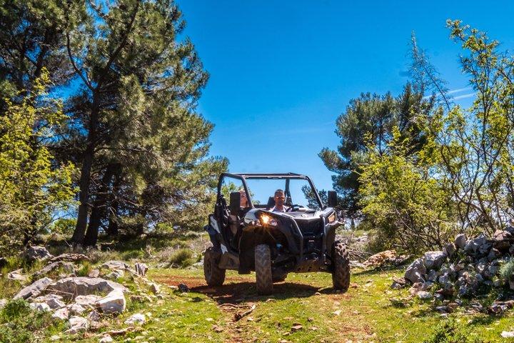 Self-drive Off Road Buggy