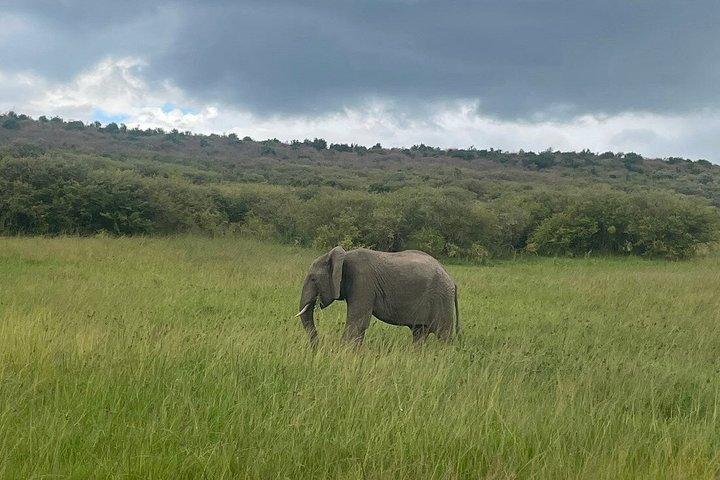 3 Days Masai Mara Budget Private Safari - Classic 4x4 Jeep Tour