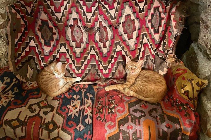 Istanbul Unfiltered Cihangir, Antiques & Galata Walking Tour