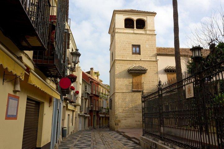 Discover Museo Picasso Malaga on a Guided Walking Tour