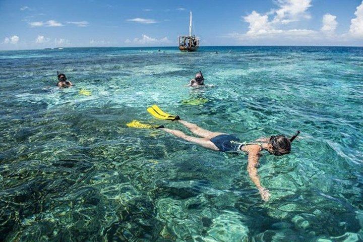 Zanzibar : Dolphin Adventure at Kizimkazi