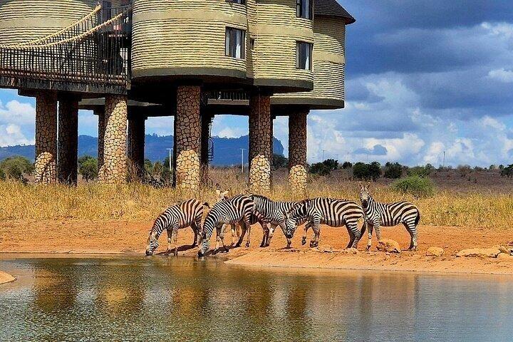 4 Days Wildlife Safari in Amboseli and Tsavo
