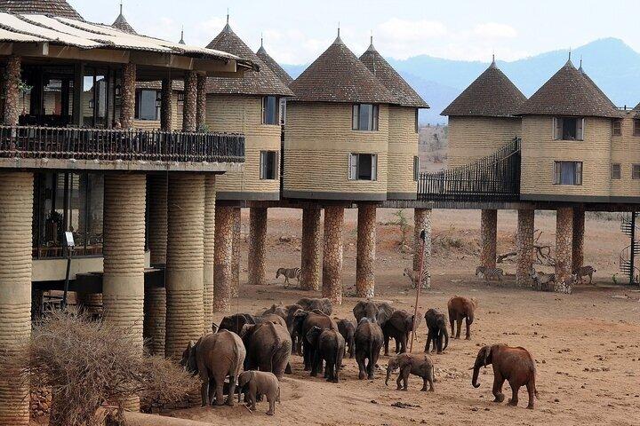 4 Days Wildlife Safari in Amboseli and Tsavo