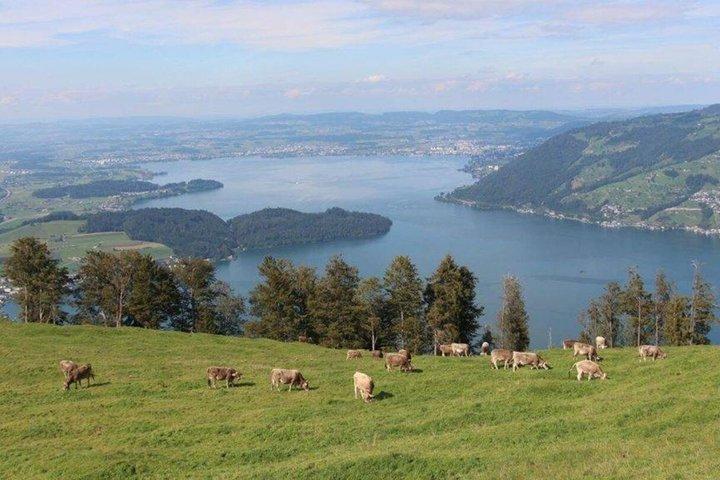 3 in 1: Lucerne Old Town - Lake Cruise - Cable Car Small Group