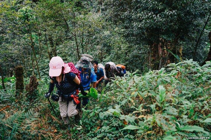 Cuc Phuong National Park Trekking Tour with Expert Guide