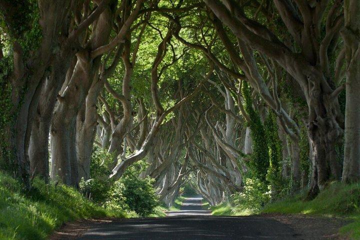 Dublin: Giants Causeway, Dark Hedges, Dunluce and Belfast Titanic