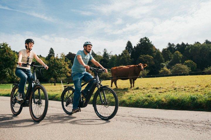 E-bikes for your daily trip. Discover Heidelberg by bike.