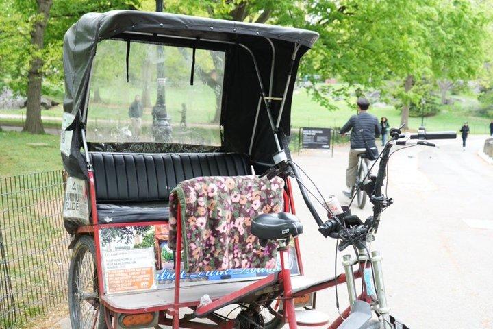 Private Central Park Pedicab Guided Tour with Photo Stops